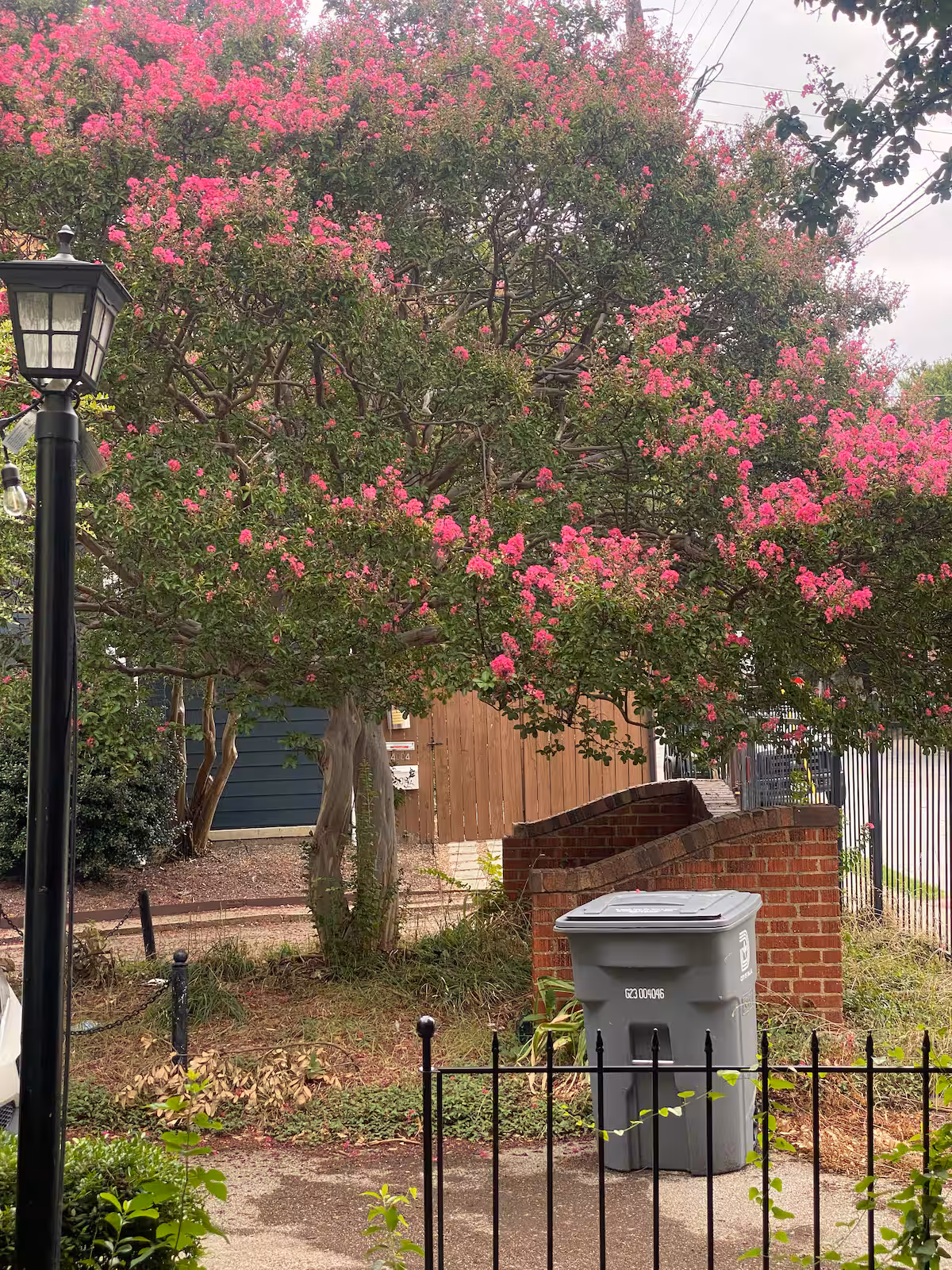 Yellow House vacation rental photo 18