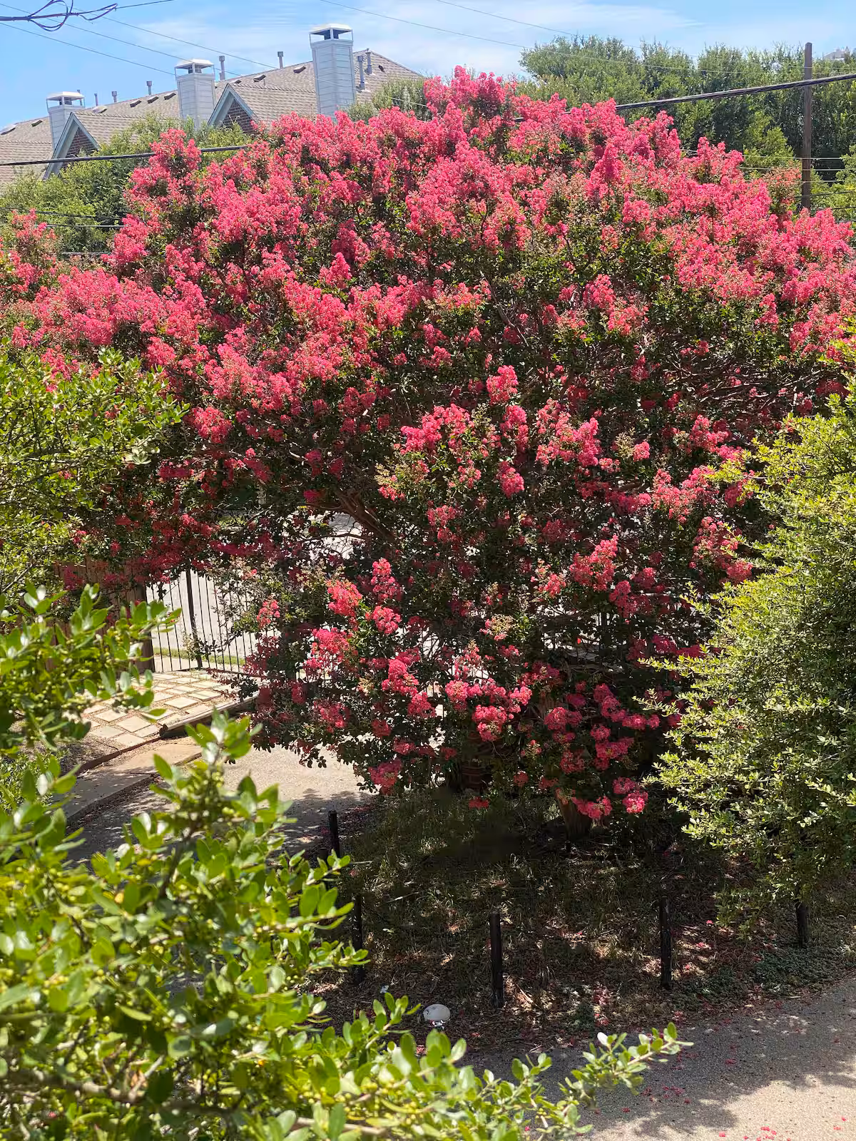 Yellow House vacation rental photo 30